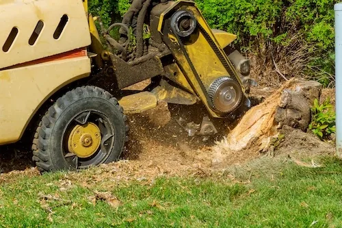 Stump Grinding